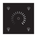 RNG-212B-401 DALI-2 Lighting Control Panel