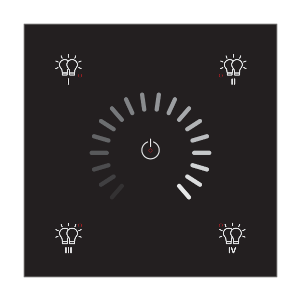 RNG-212B-401 DALI-2 Lighting Control Panel