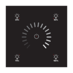 RNG-212B-451 DALI-2 Lighting Control Panel