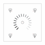 RNG-212W-401 DALI-2 Lighting Control Panel
