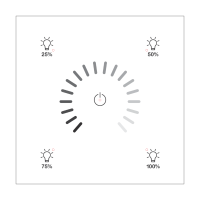 RNG-212W-451 DALI-2 Lighting Control Panel