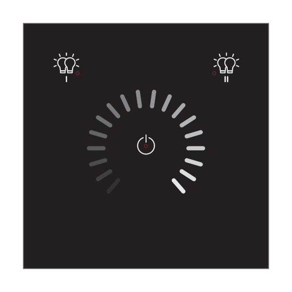 RNG-111B-401 DALI-2 Lighting Control Panel