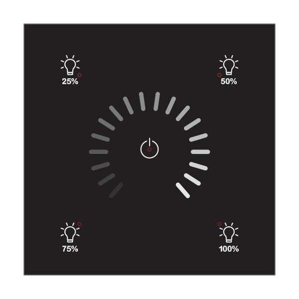 RNG-212B-01A DALI-2 Lighting Control Panel