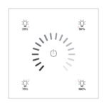 RNG-212W-01A DALI-2 Lighting Control Panel